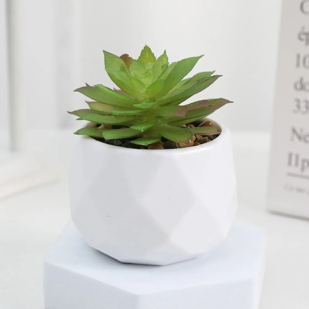 Artificial Mini Succulent Bonsai Plant