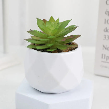 Artificial Mini Succulent Bonsai Plant