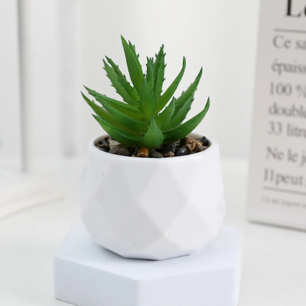 Artificial Mini Succulent Bonsai Plant
