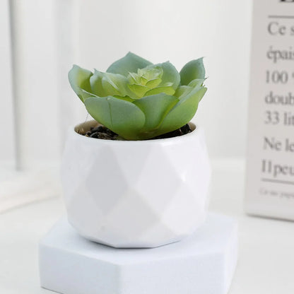 Artificial Mini Succulent Bonsai Plant